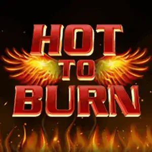 Hot To Burn