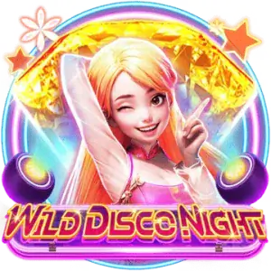 Wild Disco Night