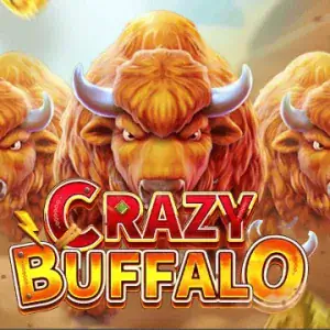 CRAZY BUFFALO