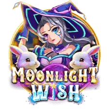 Moonlight Wish