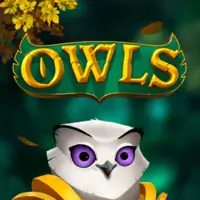 Owls DNT