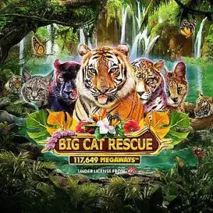 Big Cat Rescue Megaways