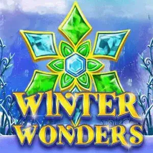 Winter Wonders
