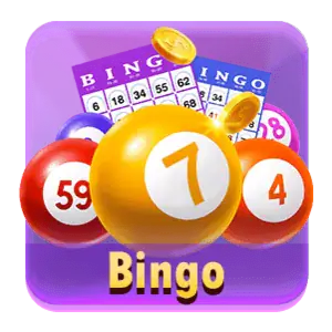 Bingo