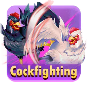 Cockfighting