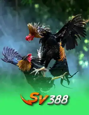 SV388
