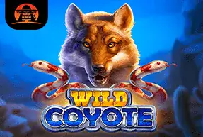 Wild Coyote