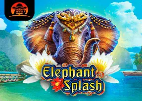 Elephant Splash