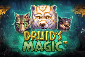 Druid’s Magic Mobile
