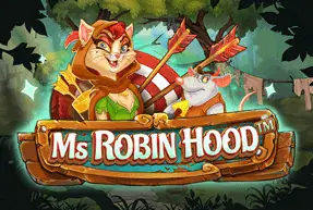 Ms Robin Hood Mobile