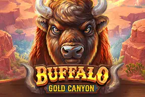 Buffalo Gold Canyon