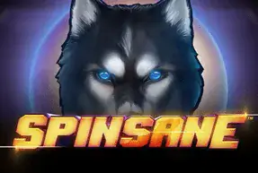 Spinsane Mobile