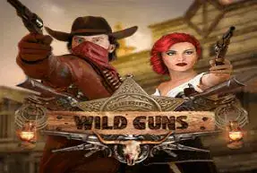 Wild Guns 